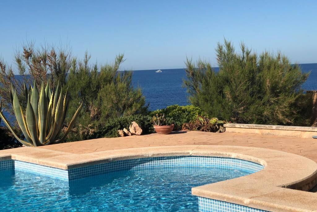 Vallgornera * Palma